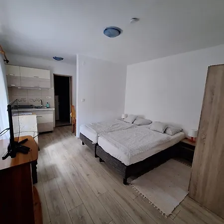 Apartment Viktoria Vendeghaz Miskolc