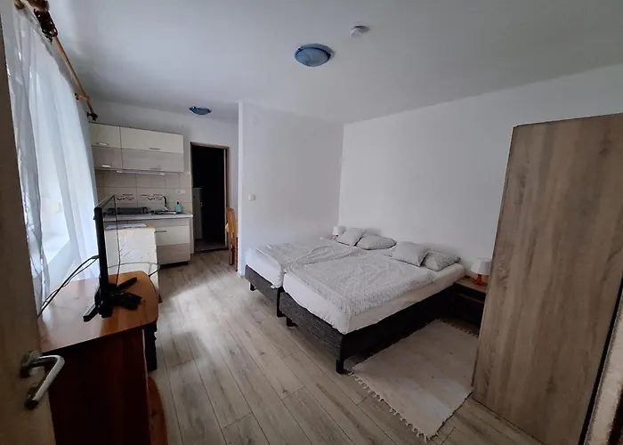Apartment Viktoria Vendeghaz Miskolc