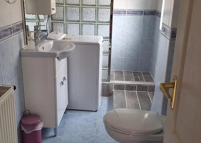 Apartment Viktoria Vendeghaz Miskolc